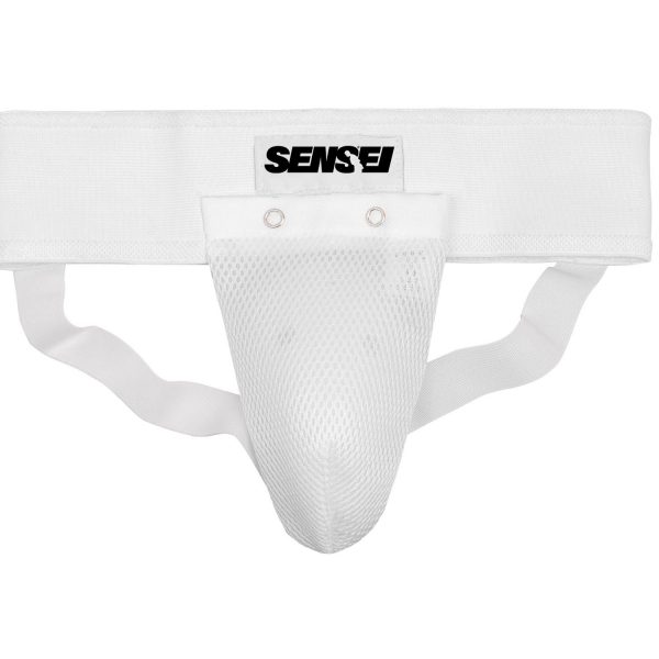 Inguinal artes marciales Sensei