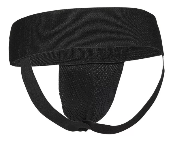 Inguinal artes marciales Sensei